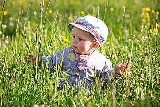 幼儿,10个月,坐,春天,草地,德国,欧洲