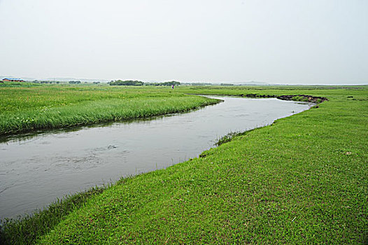 承德,坝上,草原,花海,原野,开阔,河流,植被,牧场