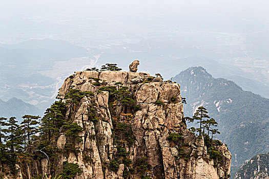 自然,猴子,石像,黄山