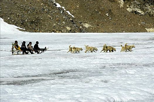 四个人,雪橇,狗,冰河