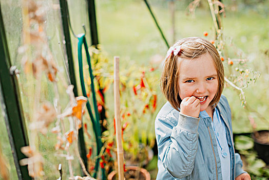 女孩,温室,吃,西红柿