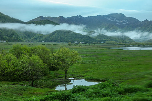 神农架,大九湖,风景,景点,旅游,高山,瀑布,河流,树木,植被,湿地,高原,湖泊,壮观