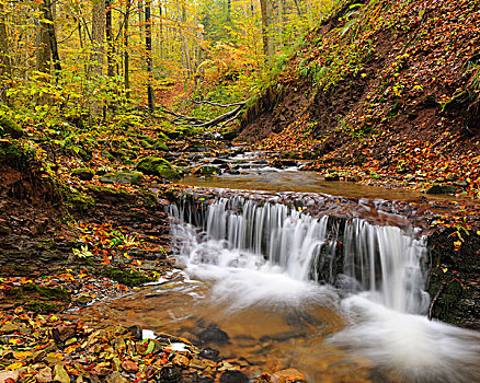 瀑布,溪流,秋天,山脉,黑森州,德国