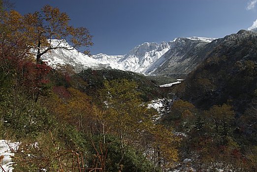 山,秋叶,雪