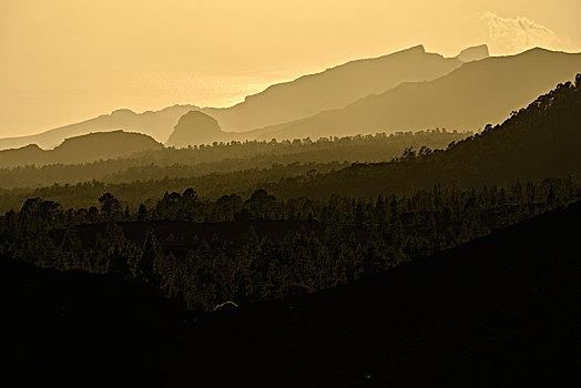 风景,火山,山丘,日落,泰德国家公园,特内里费岛,加纳利群岛,西班牙,欧洲