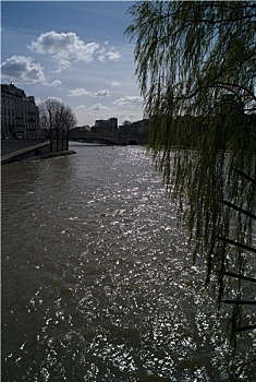 树,河,巴黎,圣日耳曼