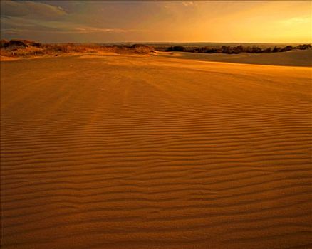 小,撒哈拉沙漠,沙丘,日落,州立公园,俄克拉荷马