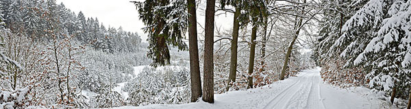 冬季风景,普拉蒂纳特,巴伐利亚,德国,欧洲