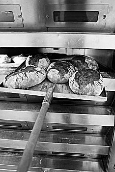 长条面包,室外,烤炉,外皮,铲