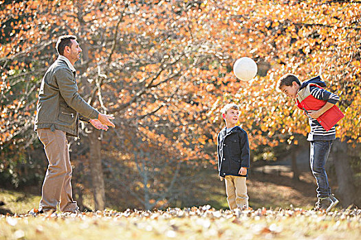 父亲,儿子,玩,足球,秋天,公园