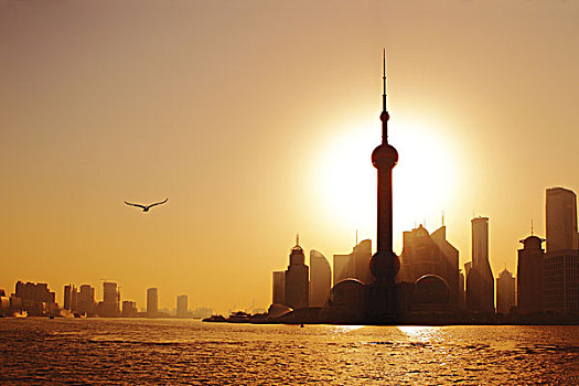 上海东方明珠塔,陆家嘴,外滩早晨