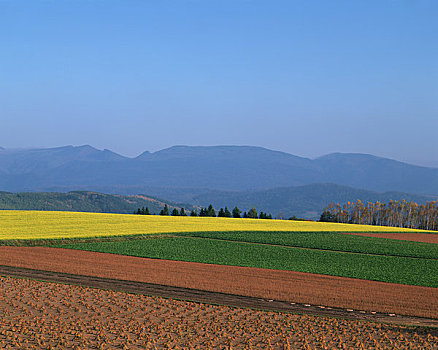 秋天,山