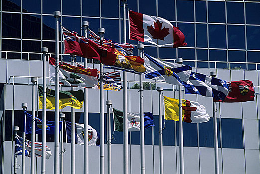 加拿大,不列颠哥伦比亚省,温哥华,游船,旗帜