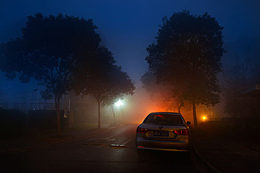 雾霾,大雾,夜晚,浓雾,住宅区,汽车,小区,灯光,路灯,树木,马路,街道,小巷,车灯