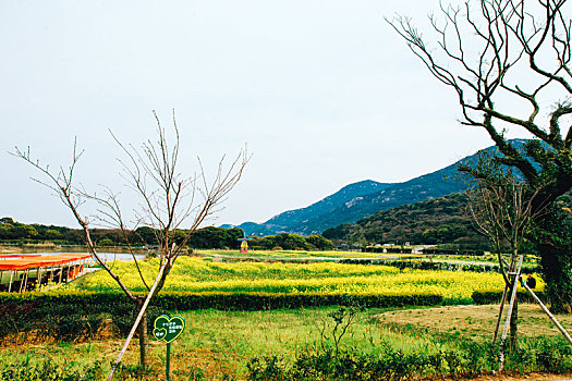 舟山大青山