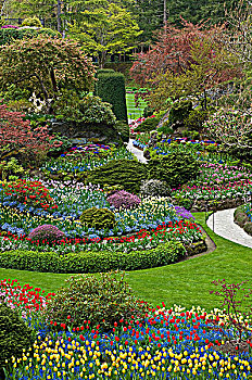 春天,宝翠花园,维多利亚,温哥华岛,不列颠哥伦比亚省,加拿大