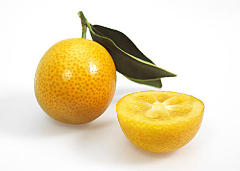 金橘,水果,白色背景