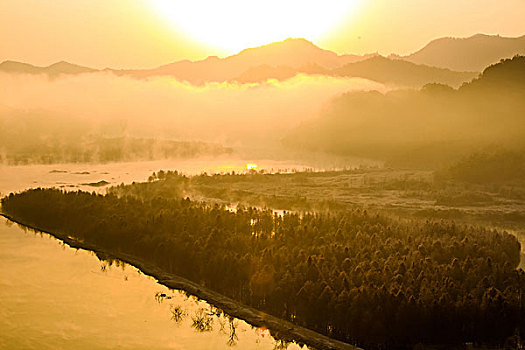 宁国红树林美景