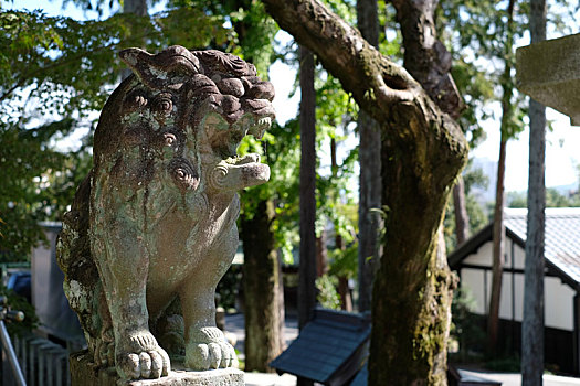 日本犬山市国宝犬山城