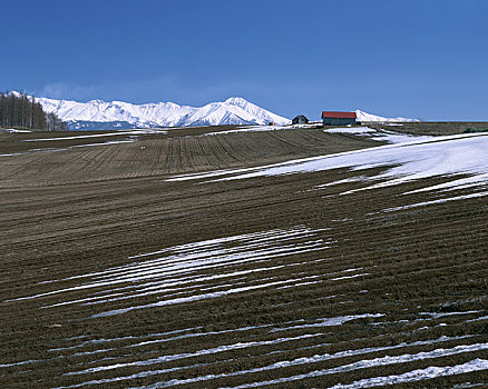 早春,山,山脉