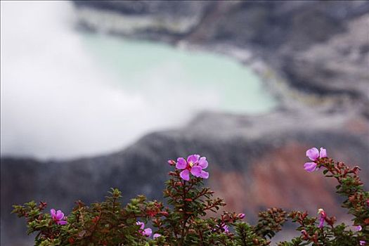 火山,哥斯达黎加,中美洲