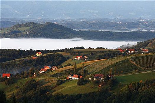 雾,施蒂里亚,奥地利,欧洲