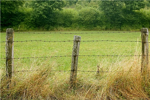 绿色,草地,线,乡村,栅栏