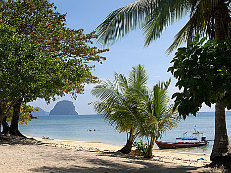 海滩,苏梅岛,海,岛屿,安达曼海,省,南方,泰国,亚洲