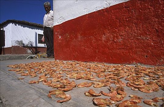 蟹肉,室外,岛屿,墨西哥