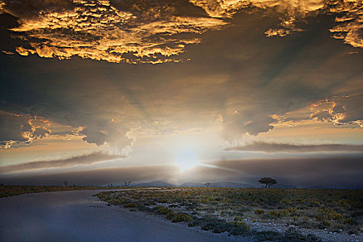 道路,日出,埃托沙国家公园,纳米比亚