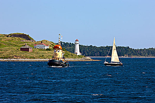 西奥多,拖船,正面,岛屿,新斯科舍省,加拿大