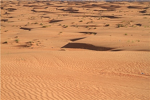 瓦希伯沙漠