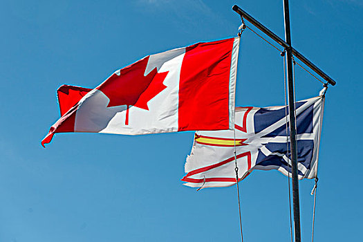 仰视,加拿大,纽芬兰,旗帜,特威林盖特,南,特威林盖特岛,拉布拉多犬