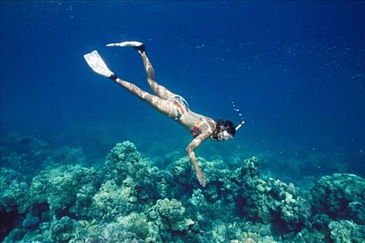 女青年,25-30岁,潜水,珊瑚,安达曼群岛,安达曼海,印度