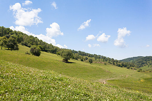 草原牧场