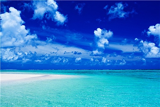 海滩,蓝天,活力,海洋,彩色