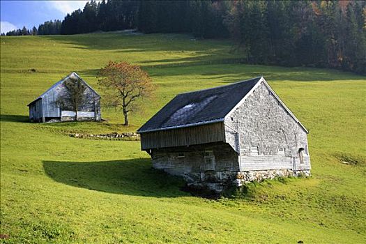 阿尔卑斯小屋,山,瑞士