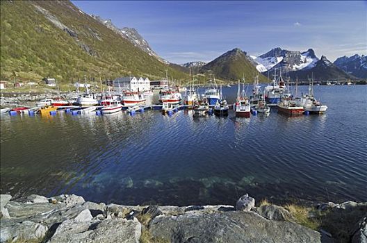 渔船,码头,罗弗敦群岛,挪威,斯堪的纳维亚,欧洲