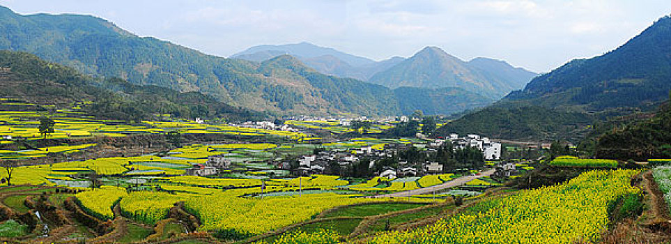 江西婺源民居和油菜花田