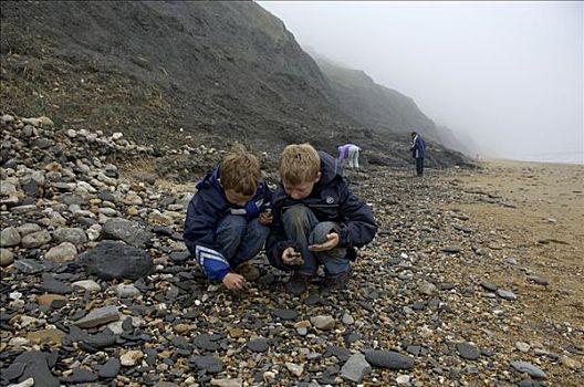 孩子,收集,侏罗纪海岸,靠近,东方,德文郡,海岸,英格兰