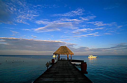 马尔代夫,泰姬陵,珊瑚礁,胜地,码头,夜光