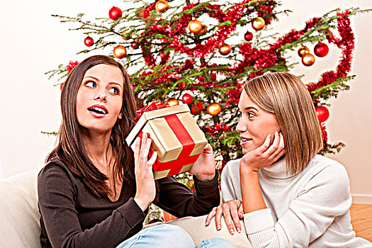 两个,微笑,女人,圣诞礼物,正面,树