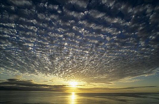 斐济,日落,上方,海洋,地平线,漂亮,云