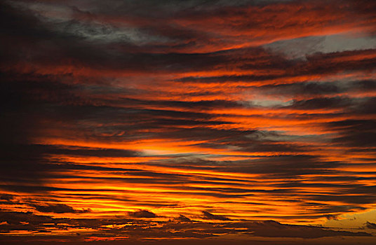 生动,红色天空,云,昆士兰,澳大利亚