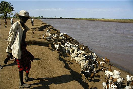 山羊,奥莫河,人,埃塞俄比亚,非洲