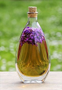可爱,紫罗兰,瓶子,油