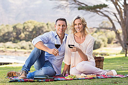 微笑,坐,夫妇,野餐毯,喝,葡萄酒,公共草地