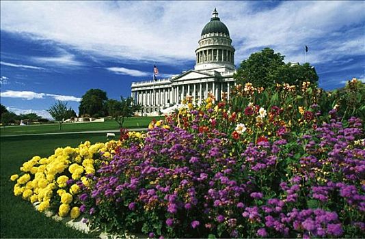 美国,犹他,盐湖城,国会,公园,穹顶,柱子,花,床,紫罗兰,黄色,盛开,草
