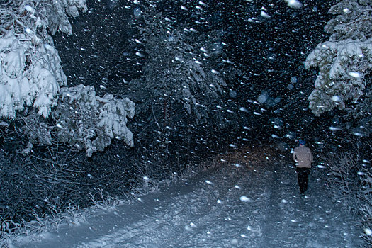 风雪早行人