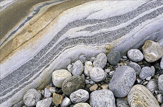 彩色,色彩,鹅卵石,折叠,变质岩,河床,提契诺河,瑞士